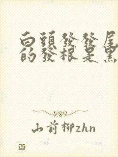 白头发发尾是白的发根是黑色