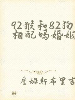92猴和82狗相配吗婚姻