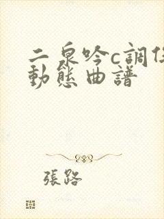 二泉吟c调伴奏动态曲谱