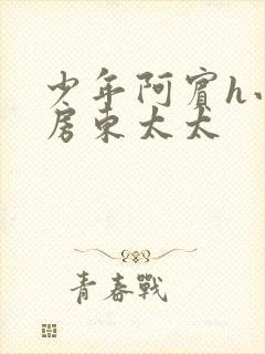 少年阿宾h小说房东太太