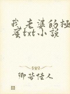 我老婆的极品闺蜜txt小说封面