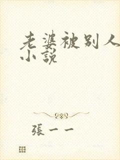 老婆被别人睡了小说