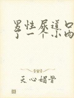 男性尿道口边起了一个小肉小米粒封面