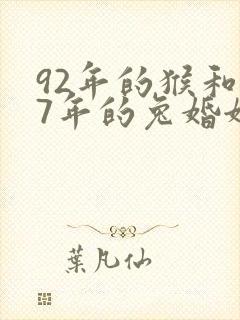 92年的猴和87年的兔婚姻相配吗