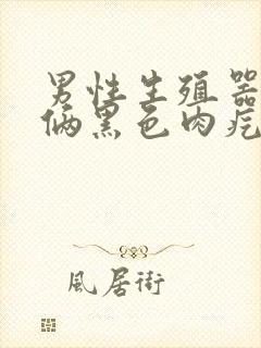 男性生殖器长出俩黑色肉疙瘩怎么治疗