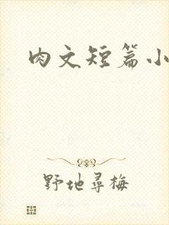 肉文短篇小说封面