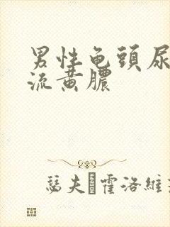 男性龟头尿道口流黄脓