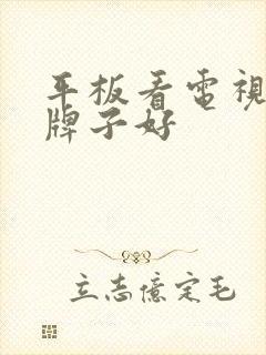 平板看电视哪个牌子好