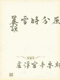 暴雪时分原著小说