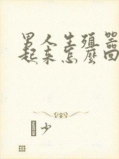 男人生殖器硬不起来怎么回事