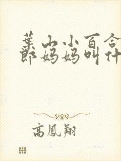 叶山小百合演一郎妈妈叫什么电影