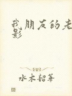 我朋友的老婆电影封面