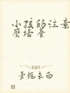 小孩的注意力怎么培养封面