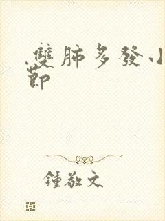 .双肺多发小结节