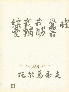 综武我觉醒了恋爱辅助器