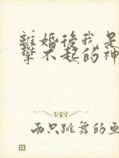 离婚后我是你高攀不起的神