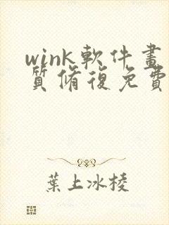 wink软件画质修复免费版封面