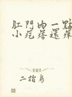 肛门内一点有个小疙瘩还痒