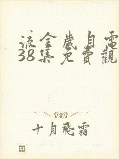 流金岁月电视剧38集免费观看封面