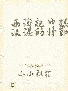 西游记中孙悟空流泪的情节