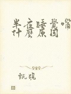 半夜睡觉嘴巴苦什么原因