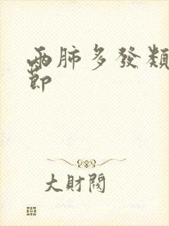 两肺多发类小结节