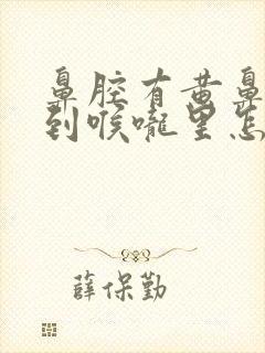 鼻腔有黄鼻涕流到喉咙里怎么办封面