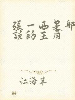 张一西是哪部小说的主角