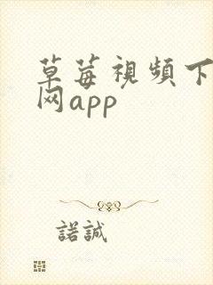 草莓视频下载官网app封面