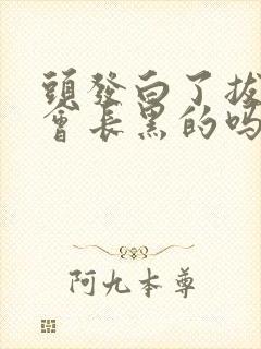 头发白了拔掉还会长黑的吗