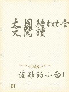 大团结txt全文阅读
