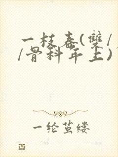 一枝春(双/产/骨科年上)