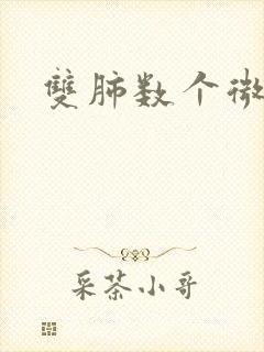 双肺数个微结节