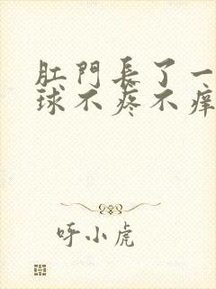 肛门长了一个肉球不疼不痒怎么回事