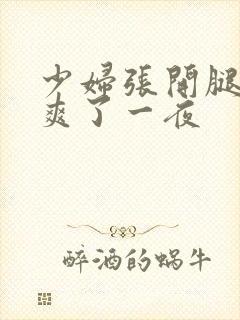 少妇张开腿让我爽了一夜封面