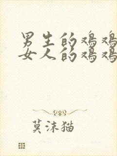 男生的鸡鸡捅进女人的鸡鸡封面