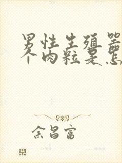 男性生殖器长出个肉粒是怎么了