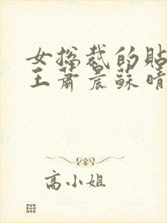 女总裁的贴身兵王萧晨苏晴小说