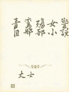 青鸾殇女警改编自哪部小说