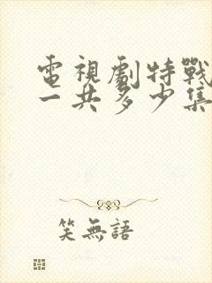 电视剧特战荣耀一共多少集