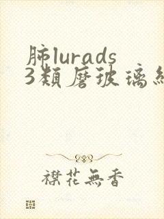 肺lurads3类磨玻璃结节封面
