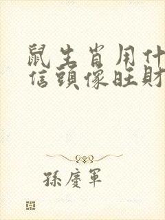 鼠生肖用什么微信头像旺财