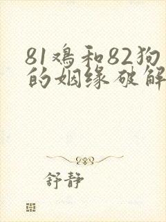 81鸡和82狗的姻缘破解封面