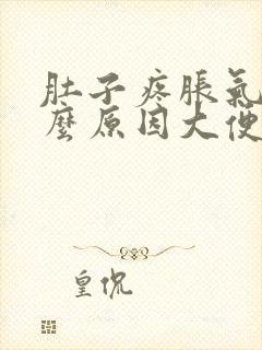 肚子疼胀气是什么原因大便拉不出来