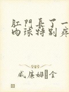 肛门长了一个小肉球特别疼