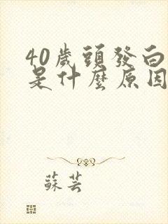 40岁头发白了是什么原因