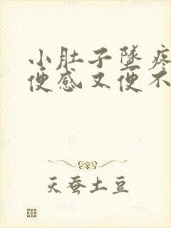 小肚子坠疼有大便感又便不出来封面