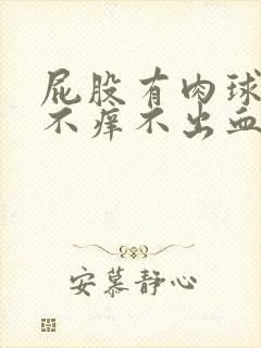 屁股有肉球不痛不痒不出血