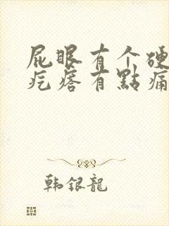 屁眼有个硬硬的疙瘩有点痛封面