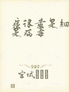 痰很黄是细菌还是病毒封面